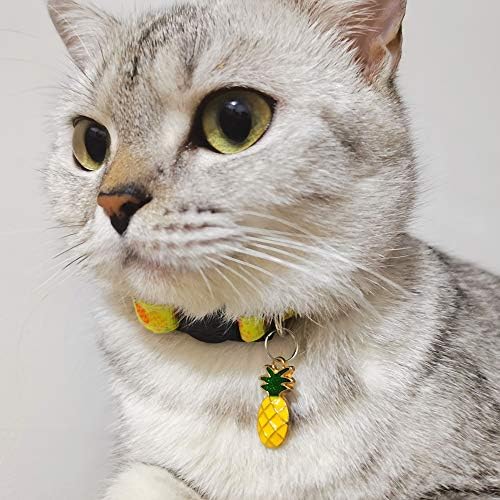 2 ADET Ayrılıkçı Kedi Yaka Meyve Desen Aksesuarları ile Ayarlanabilir Emniyet Yaka Kediler Yavru için 7-11. 5 in
