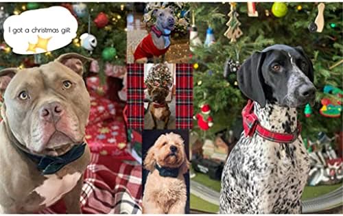 HFDGDFK Noel Ayarlanabilir El Yapımı Papyon Köpek ve Kedi Tasması Köpekler ve Kediler için Evcil Hayvan Hediyesi